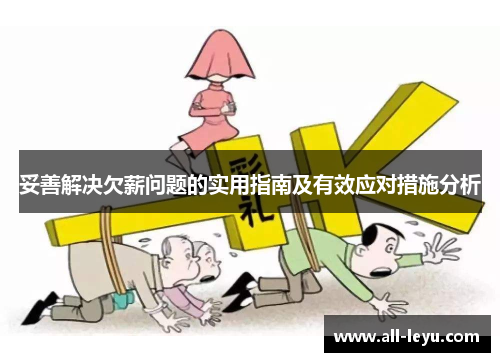 妥善解决欠薪问题的实用指南及有效应对措施分析