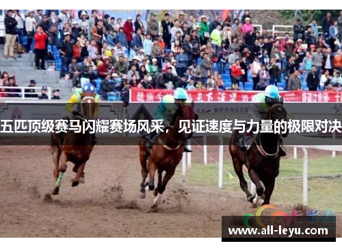 五匹顶级赛马闪耀赛场风采，见证速度与力量的极限对决