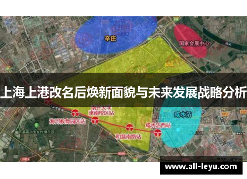 上海上港改名后焕新面貌与未来发展战略分析