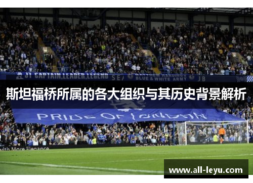 斯坦福桥所属的各大组织与其历史背景解析