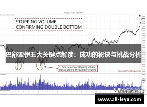 巴舒亚伊五大关键点解读：成功的秘诀与挑战分析