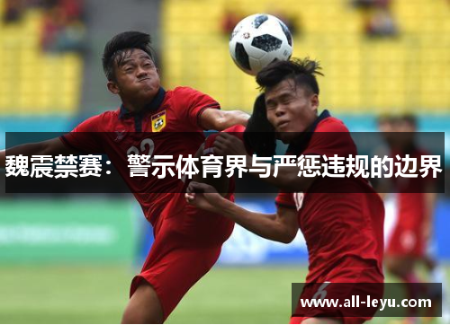 魏震禁赛：警示体育界与严惩违规的边界