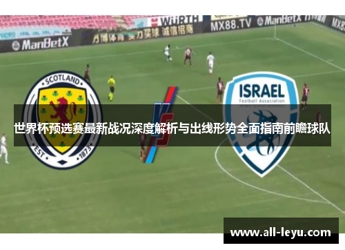 世界杯预选赛最新战况深度解析与出线形势全面指南前瞻球队