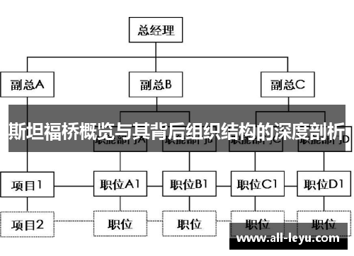 斯坦福桥概览与其背后组织结构的深度剖析