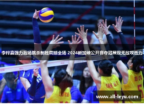 李梓嘉强力后场跳杀制胜震撼全场 2024新加坡公开赛夺冠展现无敌攻击力