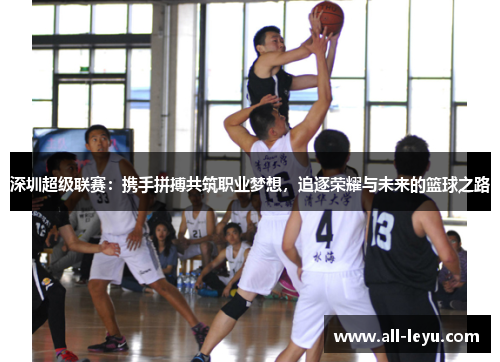 深圳超级联赛：携手拼搏共筑职业梦想，追逐荣耀与未来的篮球之路
