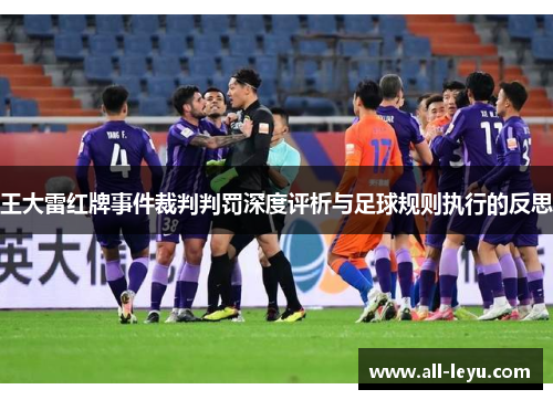 王大雷红牌事件裁判判罚深度评析与足球规则执行的反思