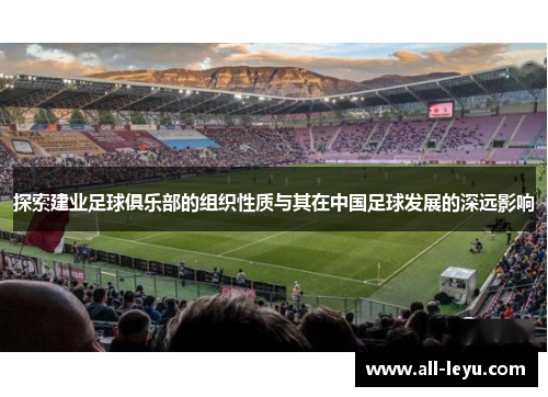 探索建业足球俱乐部的组织性质与其在中国足球发展的深远影响
